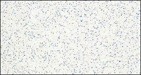 Sider-Crete Speckled Blue - Roll-on plaster pool color for ICF pools