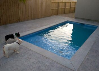 ICF-gallery-3-tanning_ledge-bench-plunge_pool